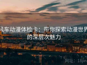 风车动漫体检卡：带你探索动漫世界的深层次魅力