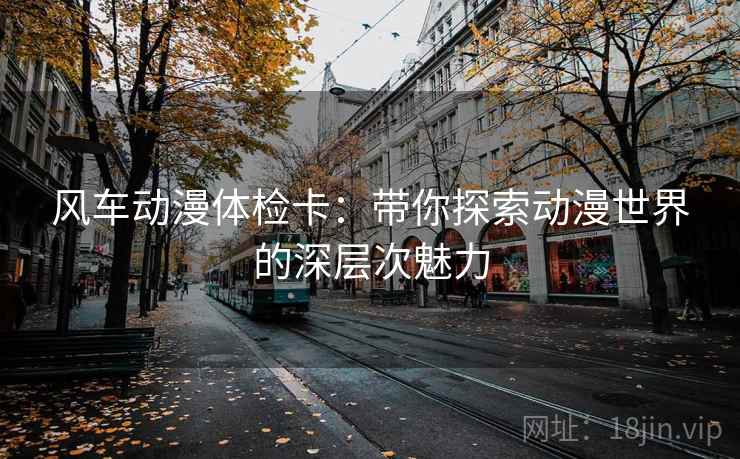 风车动漫体检卡：带你探索动漫世界的深层次魅力