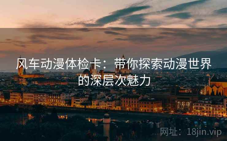 风车动漫体检卡：带你探索动漫世界的深层次魅力
